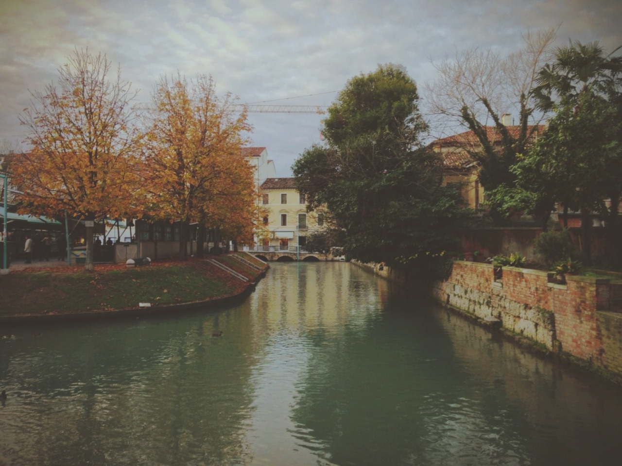 Treviso Moody